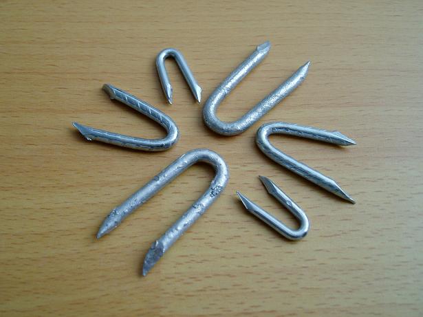 20mm GALVANISED NETTING FENCING STAPLES U NAIL CHICKEN FENCES NETTING WIRE 