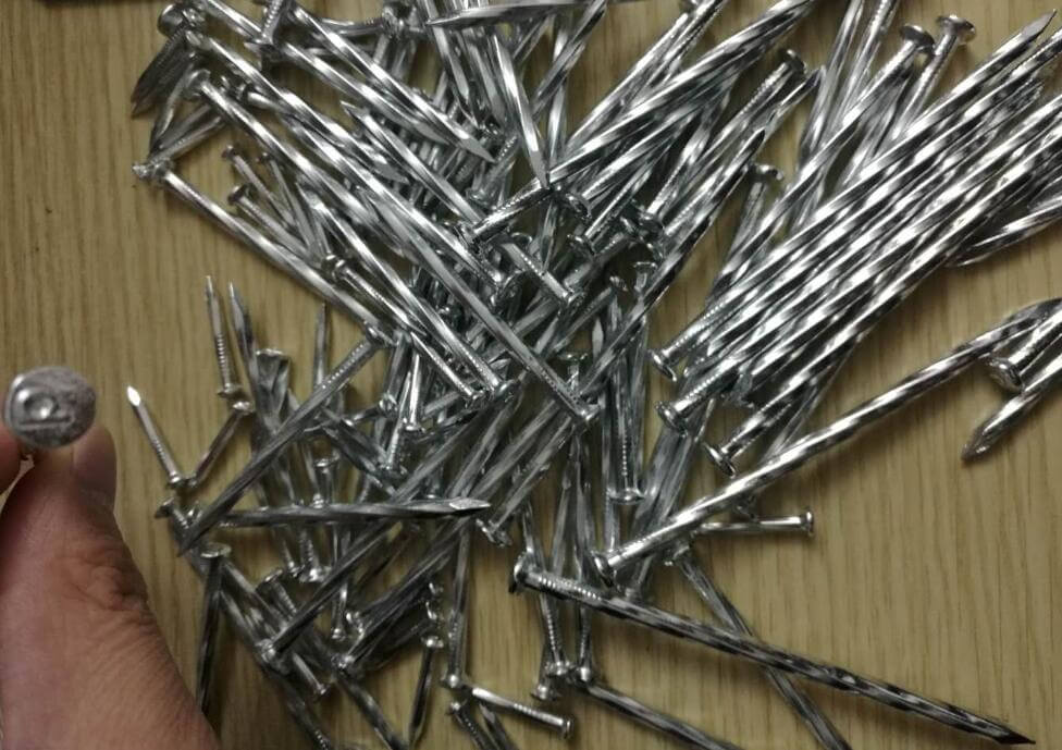 Galvanized concrete nail - Nail|wire|mesh|nail machine|China